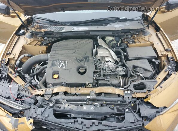 19UUB7F95NA002064 2022 ACURA TLX Золотой Вид задней части салона