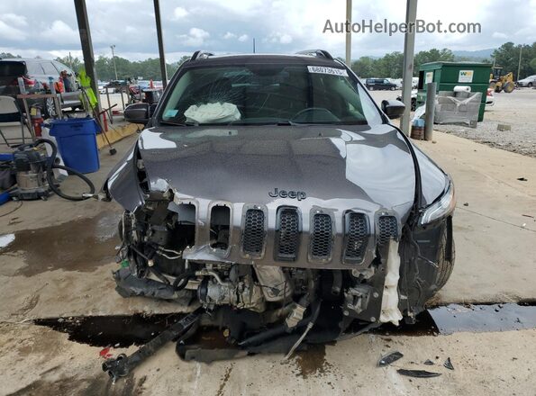 1C4PJLDB6JD621049 2018 JEEP CHEROKEE Gray Widok z przodu