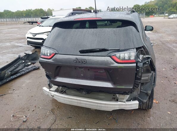 1C4PJMMX9MD141433 2021 JEEP CHEROKEE Gray 