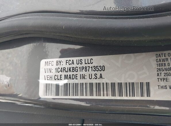 1C4RJKBG1P8713530 2023 JEEP GRAND CHEROKEE L Gray Vista del compartimento del motor