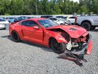 2018 Ford Mustang Gt Red vin: 1FA6P8CF4J5159084