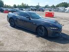 2024 Ford Mustang Gt Fastback Gray vin: 1FA6P8CF5R5431041