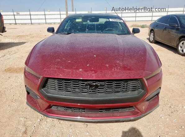 1FA6P8TH2S5116267 2025 FORD MUSTANG Maroon Front view