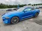 2021 Ford Mustang Blue vin: 1FA6P8TH3M5118869