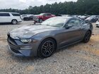 2021 Ford Mustang Gray vin: 1FA6P8TH6M5101855