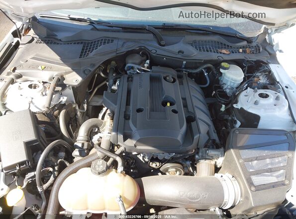 1FA6P8TH7H5328588 2017 FORD MUSTANG Белый Вид сзади
