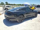 2018 Ford Mustang Black vin: 1FA6P8TH8J5162233