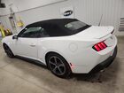 2025 Ford Mustang White vin: 1FAGP8UH9S5120416 2025 Ford Mustang White vin: 1FAGP8UH9S5120416