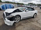 2019 Ford Mustang Белый vin: 1FATP8UH1K5201330