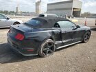 2019 Ford Mustang Черный vin: 1FATP8UH7K5149993
