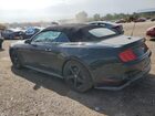 2019 Ford Mustang Черный vin: 1FATP8UH7K5149993