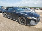 2019 Ford Mustang Черный vin: 1FATP8UH7K5149993