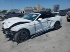 2020 Ford Mustang White vin: 1FATP8UH8L5179831