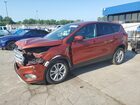 2019 Ford Escape Se Orange vin: 1FMCU9GD9KUA96443