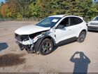 2025 Ford Escape St-line Белый vin: 1FMCU9MN7SUB14483