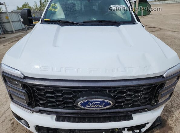 1FT8W2BA4REF00228 2024 FORD F250 White Սալոնի հետևի տեսք