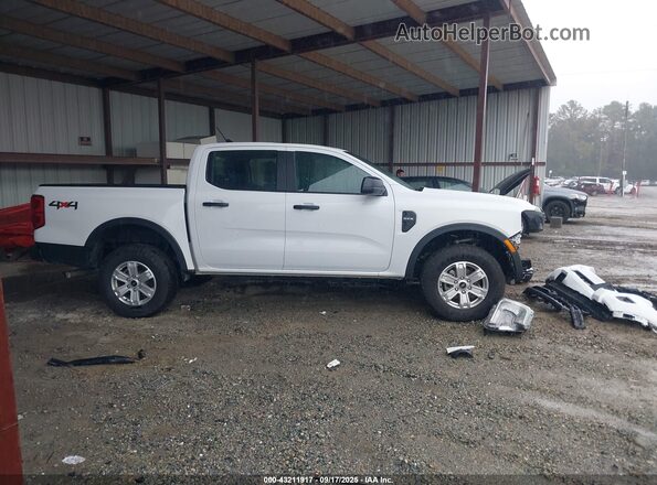 1FTER4PH7RLE42882 2024 FORD RANG White Սալոնի 360 աստիճան տեսք