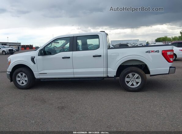 1FTFW1ED8NFC41240 2022 FORD F150 White Vista interior de 360 grados