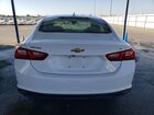 2023 Chevrolet Malibu Lt White vin: 1G1ZD5ST6PF219044
