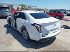 2023 Cadillac Ct4 Premium Luxury White vin: 1G6DB5RK2P0152887