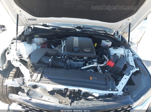 1G6DB5RK2P0152887 2023 CADILLAC CT4 White Rear view