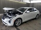 2024 Cadillac Ct4 Premium Luxury White vin: 1G6DB5RK9R0108064