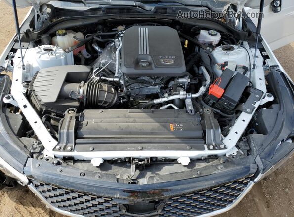 1G6DF5RK9M0134628 2021 CADILLAC CT4 Белый Вид задней части салона