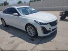 2023 Cadillac Ct5 Luxury White vin: 1G6DW5RK1P0112367