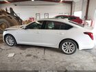 2023 Cadillac Ct5 Luxury Белый vin: 1G6DX5RK7P0103752