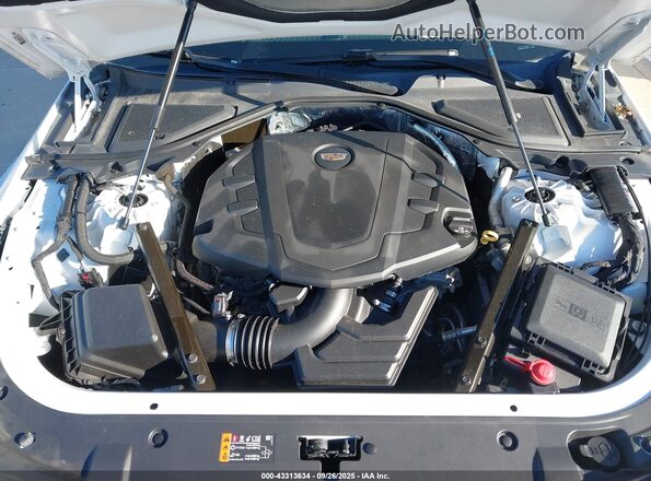 1G6KB5RS7LU111424 2020 CADILLAC CT6 Белый Вид сзади