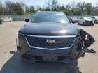 2024 Cadillac Xt4 Premium Luxury Black vin: 1GYFZDR41RF184933 2024 Cadillac Xt4 Premium Luxury Black vin: 1GYFZDR41RF184933