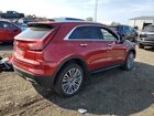 2024 Cadillac Xt4 Premium Luxury Red vin: 1GYFZDR4XRF140462 2024 Cadillac Xt4 Premium Luxury Red vin: 1GYFZDR4XRF140462