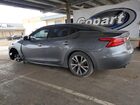 2018 Nissan Maxima 3.5s Серый vin: 1N4AA6AP4JC373547