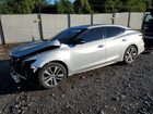 2020 Nissan Maxima Sv Silver vin: 1N4AA6CVXLC369825