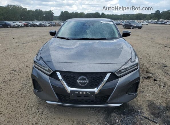 1N4AA6CVXPC504310 2023 NISSAN MAXIMA Серый Вид спереди