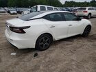2021 Nissan Maxima Platinum White vin: 1N4AA6FV1MC511699 2021 Nissan Maxima Platinum White vin: 1N4AA6FV1MC511699