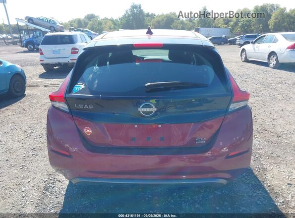 1N4CZ1CV0RC552986 2024 NISSAN LEAF Красный 