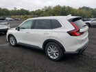 2025 Honda Cr-v Ex White vin: 2HKRS4H41SH453288