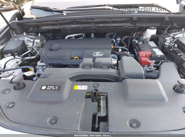 2T2ADCAZ0RC012574 2024 LEXUS NX 250 Серый Вид сзади