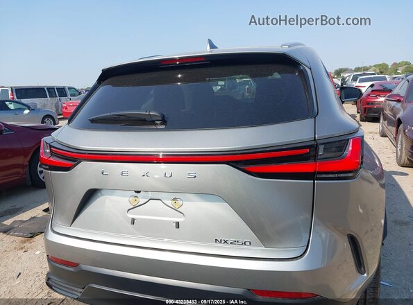 2T2ADCAZ0RC012574 2024 LEXUS NX 250 Серый 