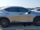 2024 Lexus Nx 250   Серый vin: 2T2ADCAZ0RC012574