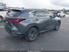 2025 Lexus Nx 250   Серый vin: 2T2ADCAZ4SC019436