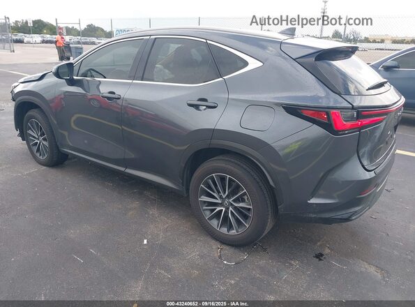 2T2ADCAZ4SC019436 2025 LEXUS NX 250 Серый Задняя левая четверть