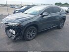 2025 Lexus Nx 250   Серый vin: 2T2ADCAZ4SC019436