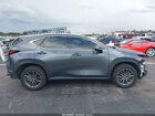 2025 Lexus Nx 250   Серый vin: 2T2ADCAZ4SC019436