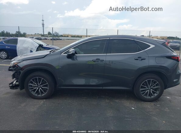 2T2ADCAZ4SC019436 2025 LEXUS NX 250 Серый Панорамный вид салона 360°