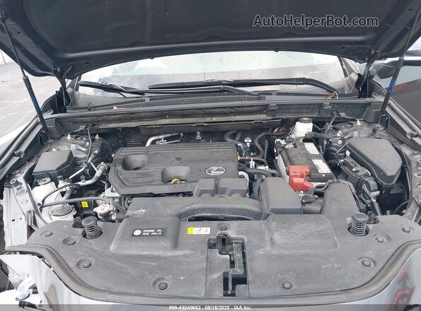 2T2ADCAZ4SC019436 2025 LEXUS NX 250 Серый Вид сзади