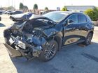 2024 Lexus Nx 250 Base Black vin: 2T2ADCAZ6RC006245