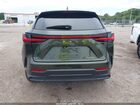 2024 Lexus Nx 250   Зеленый vin: 2T2ADCAZ6RC008738