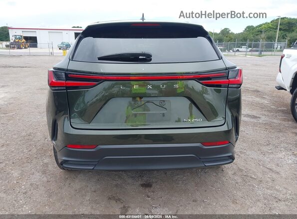 2T2ADCAZ6RC008738 2024 LEXUS NX 250 Зеленый 